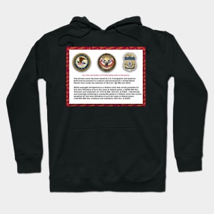 Domain seized by the US Department of Justice Hoodie